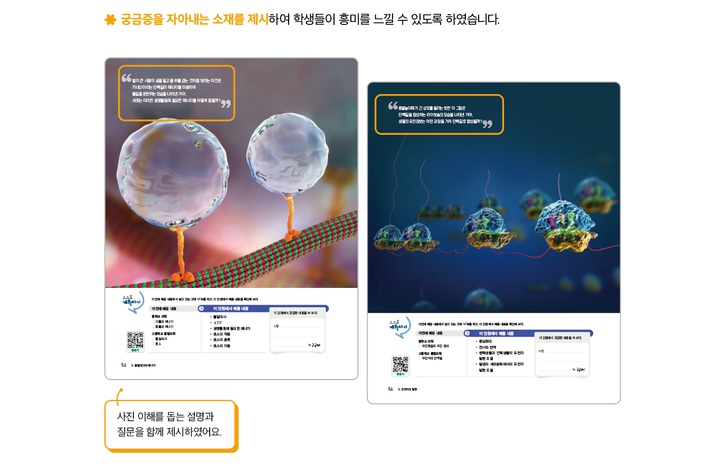 교과서 특장점 1-1 (2).png